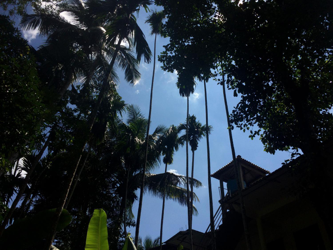 Exterior & Views 1, Eco Villa - Sinharaja, Kotapola
