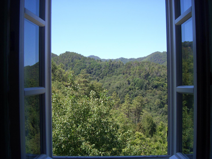 Scenery