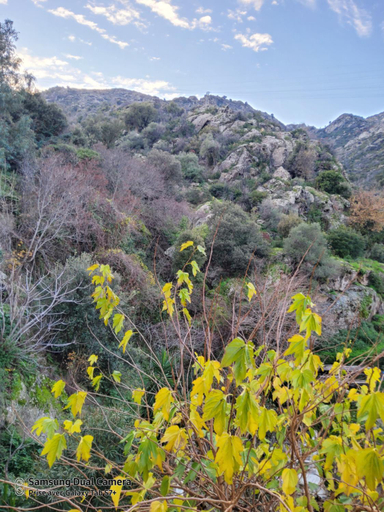 Others 5, maison casa nova, Haute-Corse
