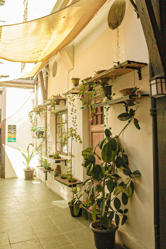 Exterior & Views 2, Hostal Providencia - Hostel, Santiago