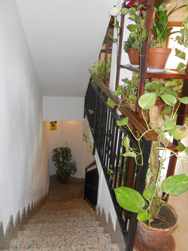 Others 5, Hostal El Descanso, Madrid
