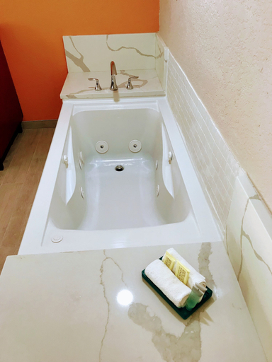 Bathroom 4, Tropical Inn & Suites, Pinellas