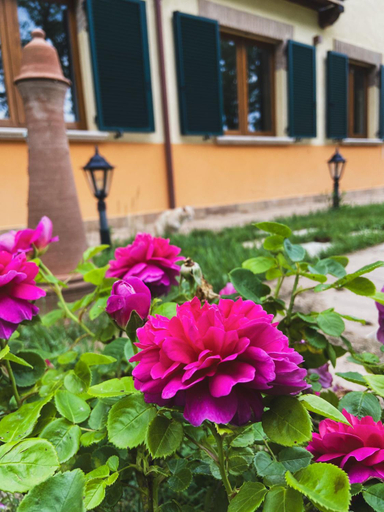 Villa Tadina, Perugia