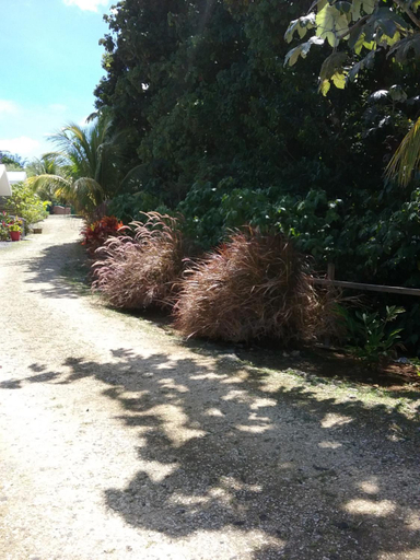Others 5, DADI'S LITTLE PARADIS, Sainte-Rose