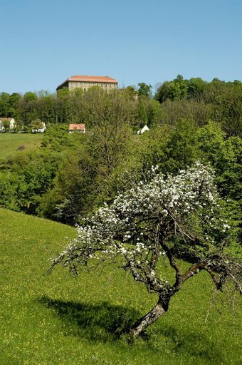 Others 5, Gasthof Adler, Ansbach