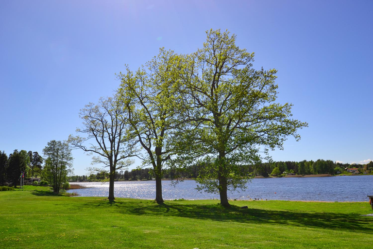 Others 5, First Camp Herrgårdsliv - Kristinehamn, Kristinehamn