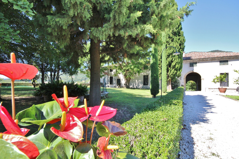 Exterior & Views 2, Il Castello, Vicenza