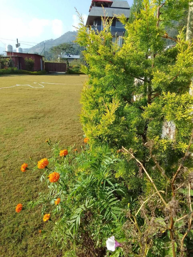 Others 4, Celestial Rhapsody, Nainital
