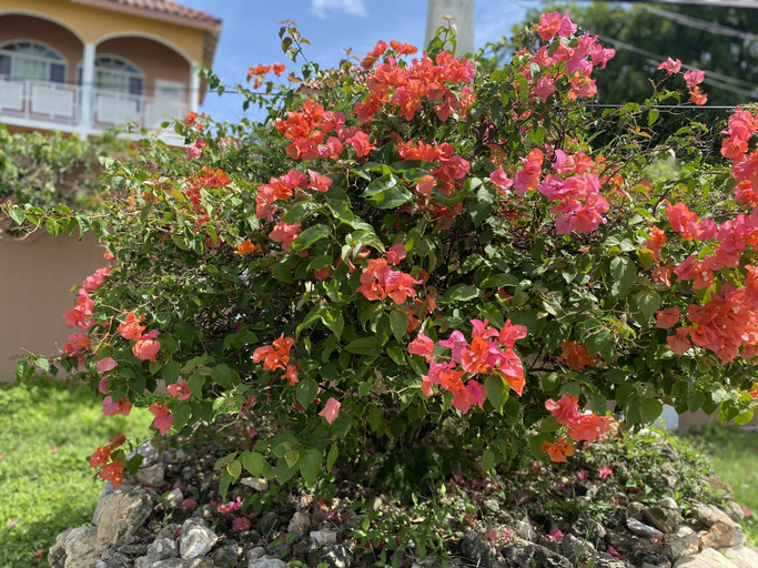 Others 5, YanceyLargo-6BR Two-Story Estate w/Mountain Views by RedAwning