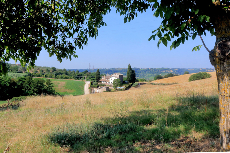 Others 5, Trianon Country, Viterbo