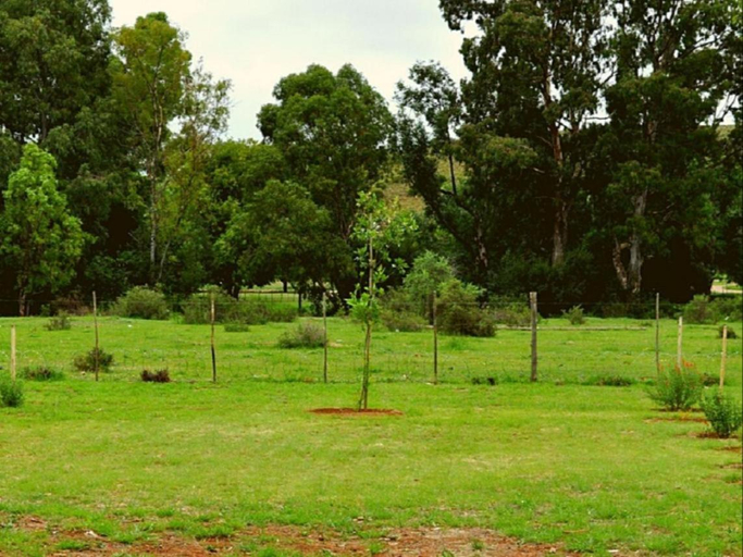 Others 2, Little Farms, Pixley ka Seme