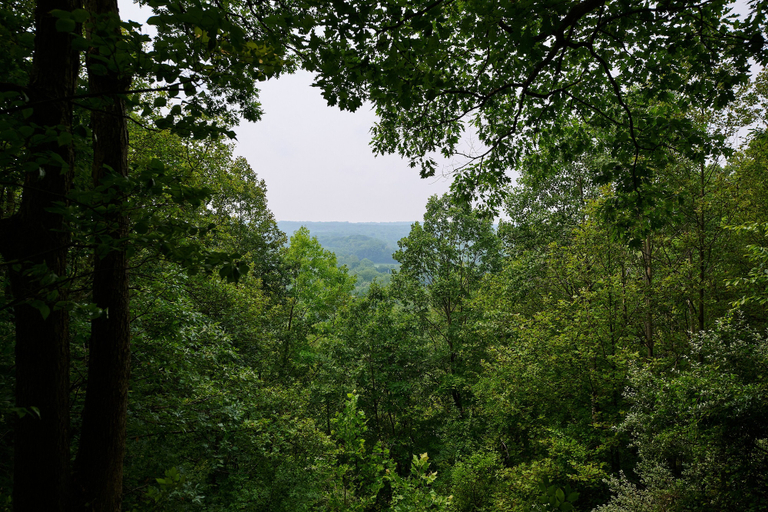 Others 4, Valley Overlook, Summit