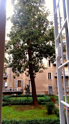 Exterior & Views 2, Germanico's House, Rome