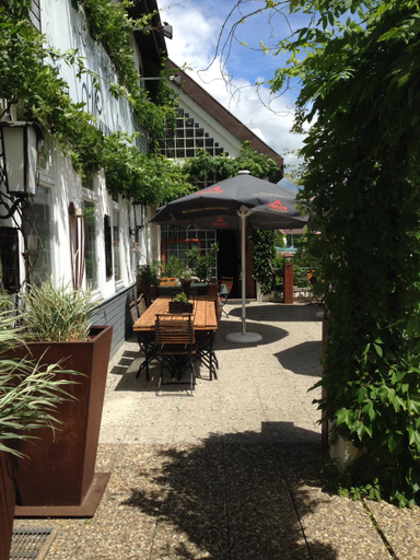 Others 5, Murmeltier, Sigmaringen