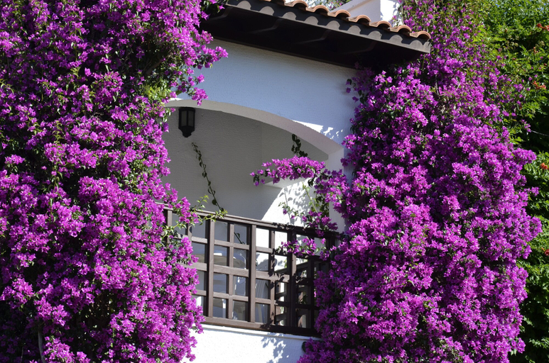 Exterior & Views 2, Emelda Sun Club - Ultra All Inclusive, Kemer