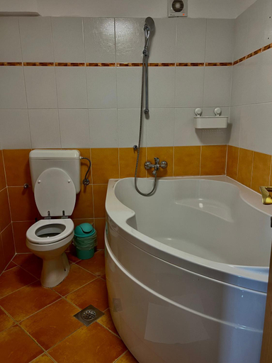 Bathroom 5, Labi's Seaview Apartments, Piran