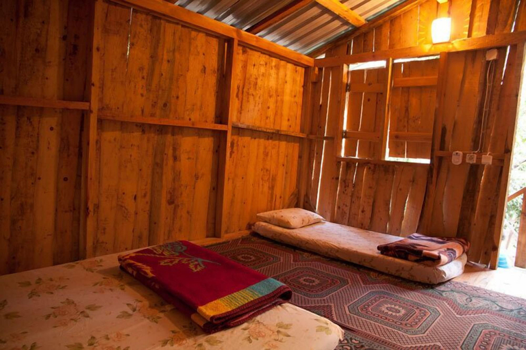 Room 3, Bayrams Tree Houses, Kemer