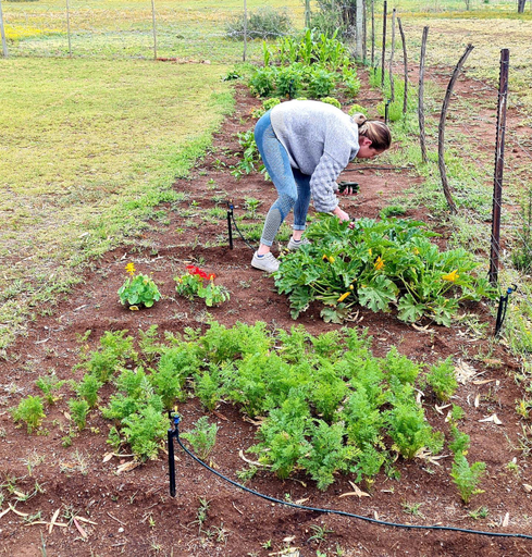 Others 5, Little Farms, Pixley ka Seme
