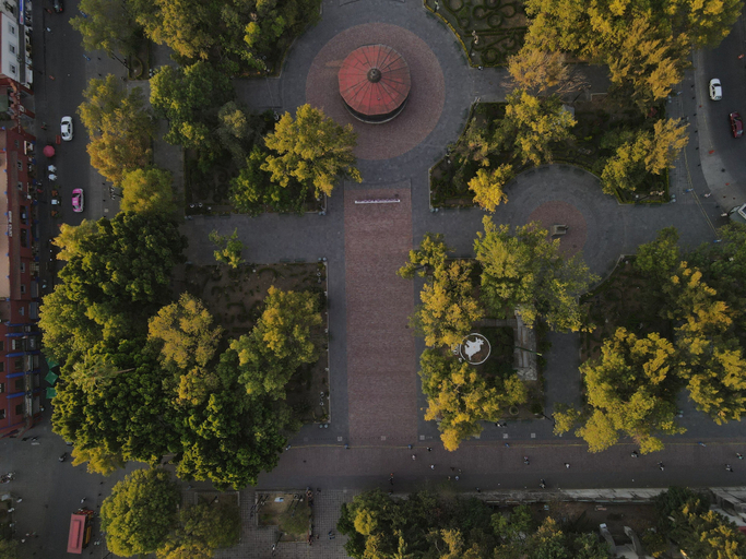 Exterior & Views 2, Meztli: Casa Boutique & Spa, Mexico City