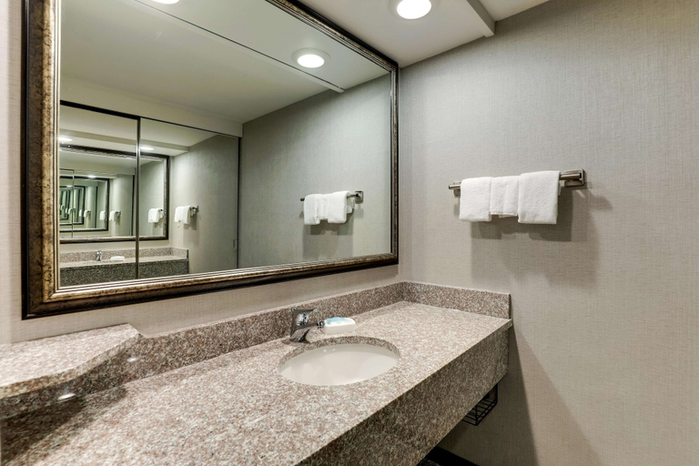 Bathroom 4, Drury Inn & Suites Columbus Dublin, Franklin