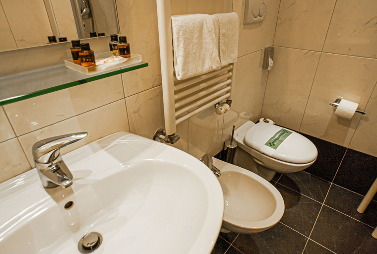 Bathroom 5, Viktoria Palace, Venezia