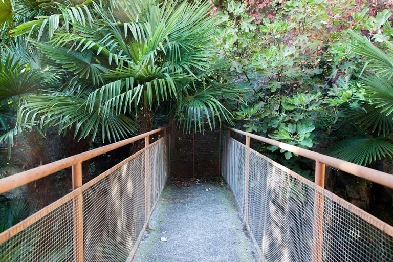 Others 5, Villa Lucia Laglio with private lake access, Como