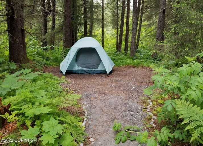 Others 4, Bear Necessities Cottages, Kenai Peninsula