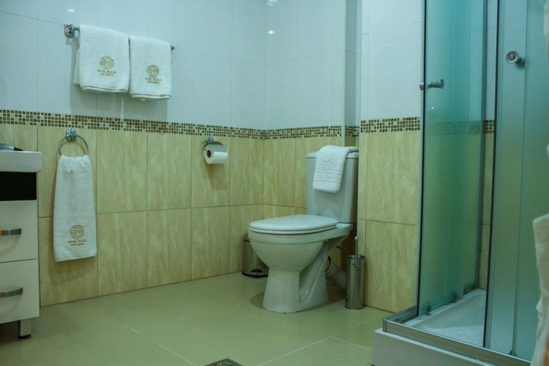 Others 5, Hotel Plaza Viktoria