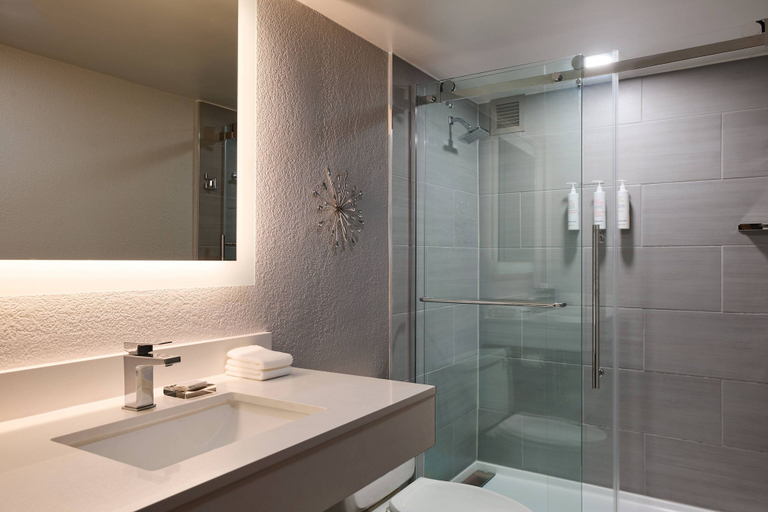 Bathroom 4, El Paso Marriott, El Paso