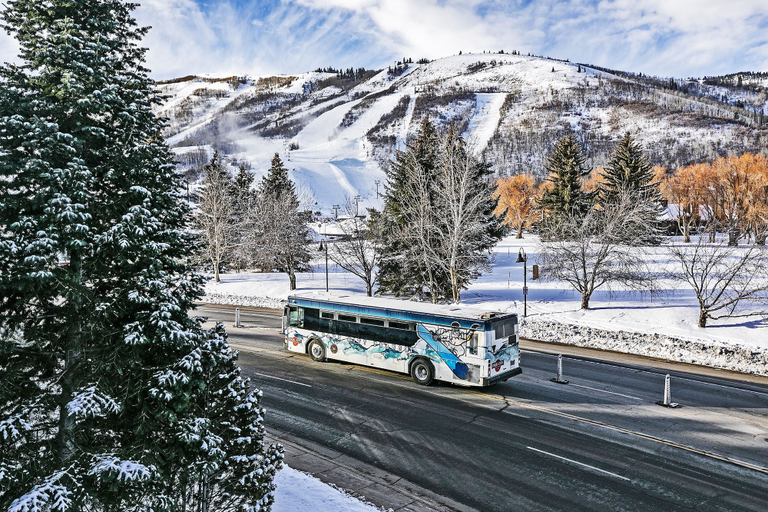 City shuttle, Snowcrest 317 2 Bedroom Condo by RedAwning, Summit