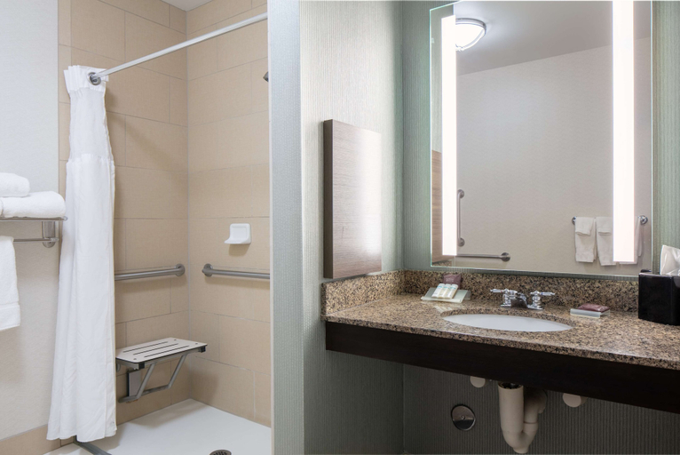 Bathroom 4, Hilton Garden Inn Manhattan, Riley
