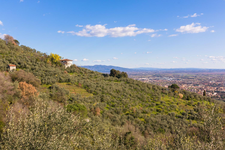 Others 3, Affittacamere Adri, Pistoia