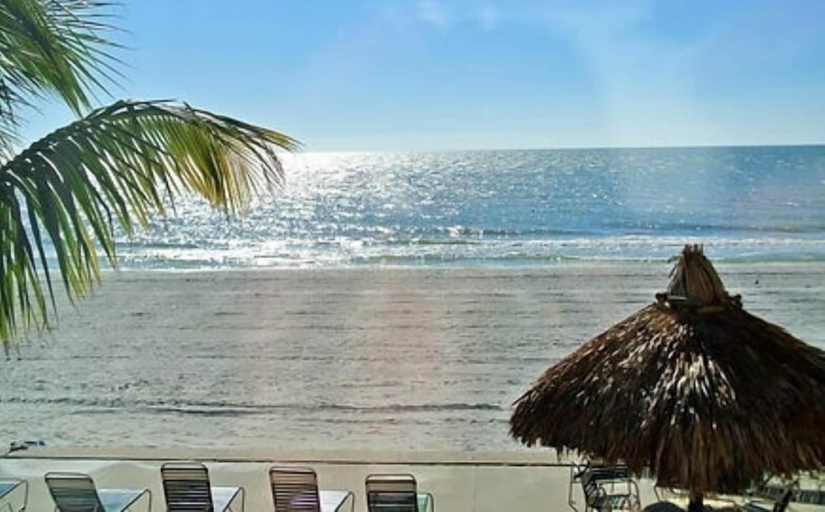 Others 5, Coral Shores Resort, Pinellas