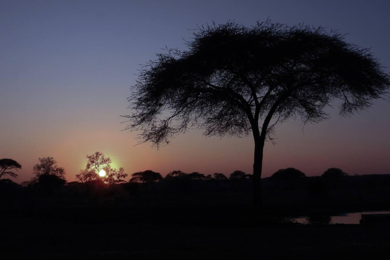 Others 4, Holiday Rental Home in Victoria Falls, Hwange