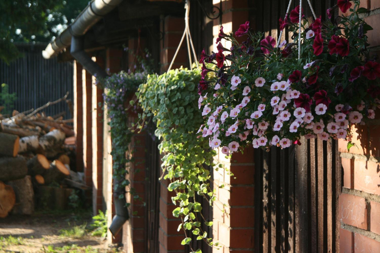 Others 2, Liba Apartments, Kuldiga