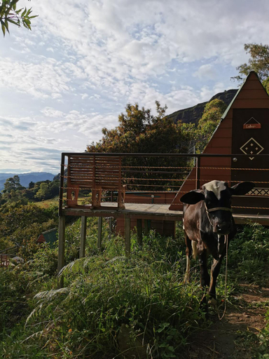 Others 4, Mamaterra Glamping, Macanal