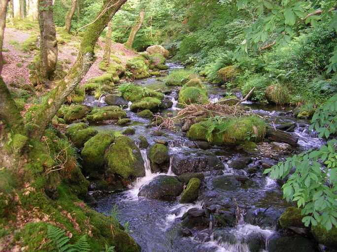 Others 4, The Dolgoch, Gwynedd