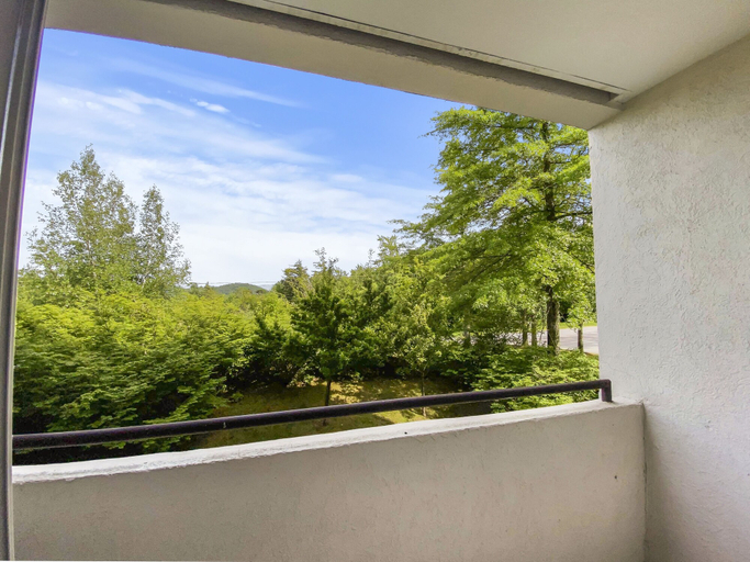 Others 5, 208 Village Gate Studio Bedroom Condo by RedAwning, Washington