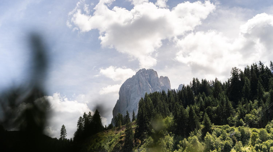 Others 3, Chalet Insignis, Bolzano