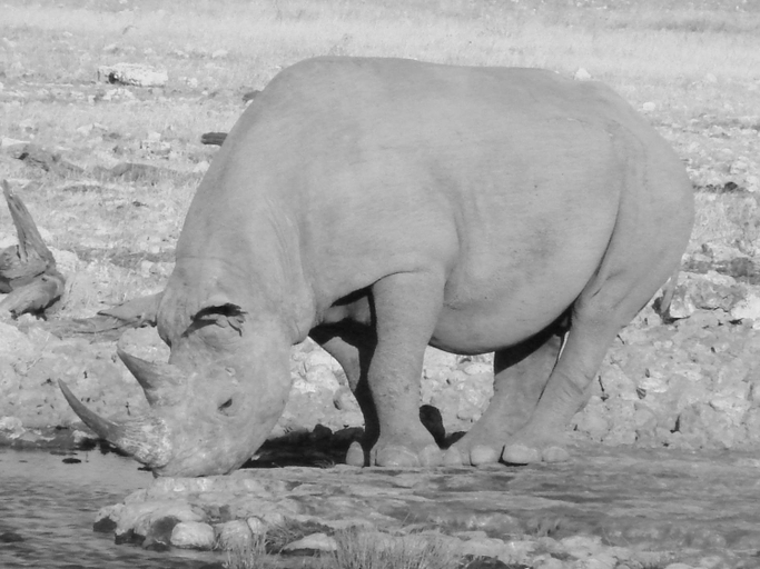 Others 4, Onduri Lodge, Kamanjab