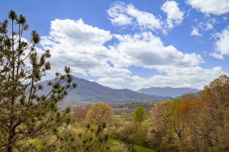 Others 4, Barefoot Cabin 4 Bedroom Cabin by RedAwning, Sevier