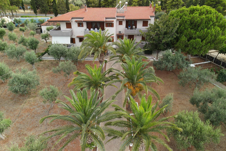 Others 4, KRISSAIA SEASIDE SUITES, Central Greece