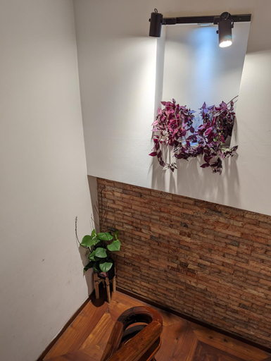 Bathroom 5, Holly Hostel, Đà Lạt