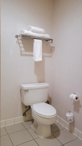 Bathroom 4, Holiday Inn Express Cortez By IHG, Montezuma