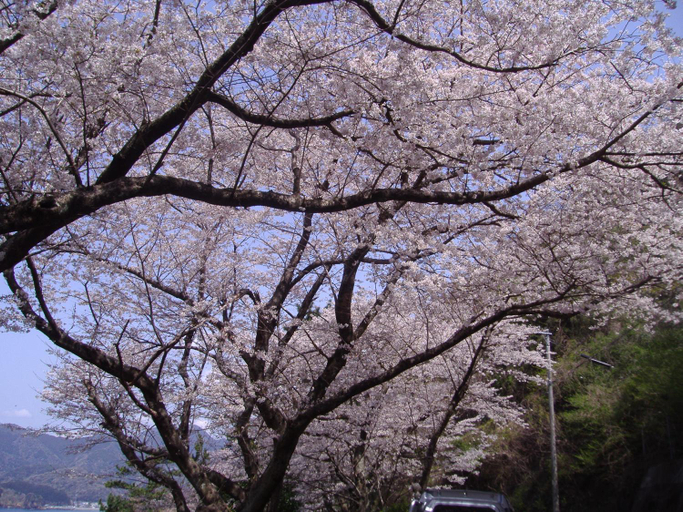 Others 2, Ishibu-so, Matsuzaki