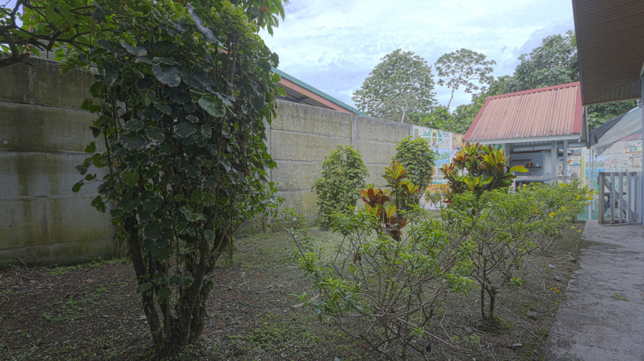Others 5, Aparatamentos Arenal Ranas y Ranitas, San Carlos