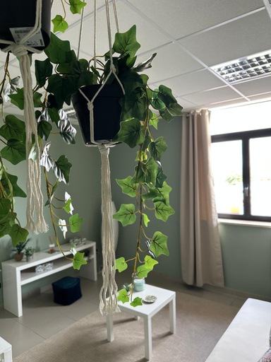Others 2, BOTANICAL SUITE, Bari