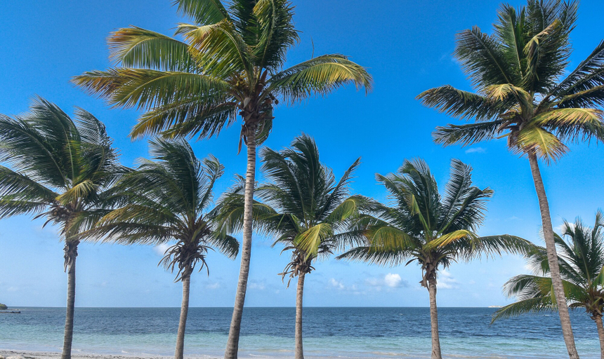 Others 5, Lord Nelson Hotel & Residences, Anse-Bertrand