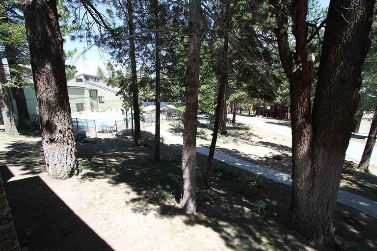 Property grounds, Summit #3 1 Bedroom Condo, Mono