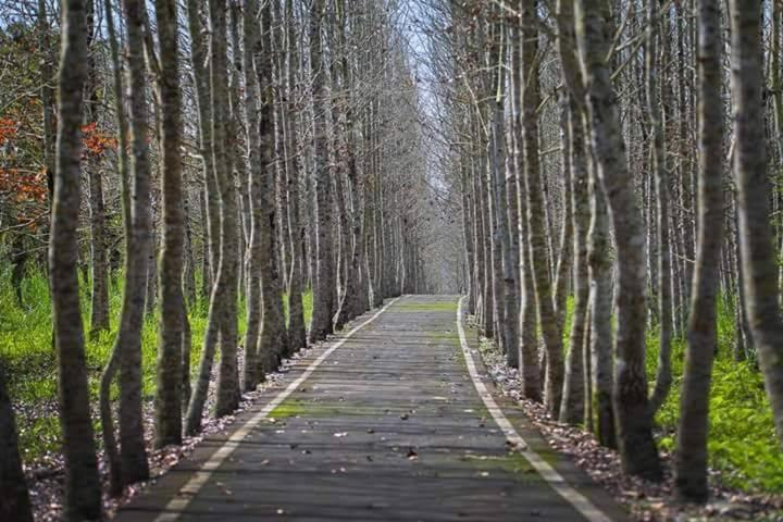 5, Rabbit Forest B&B, Hualien